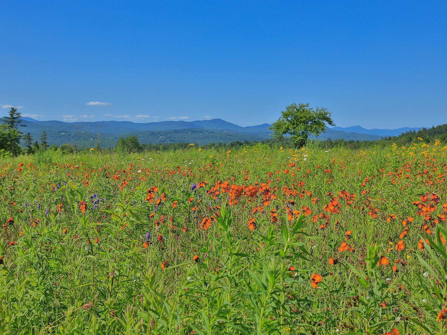 241 Blakslee Road, Dalton, NH 03598 Zillow