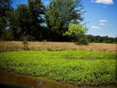 Highway 164 E, Groesbeck, TX, 76642