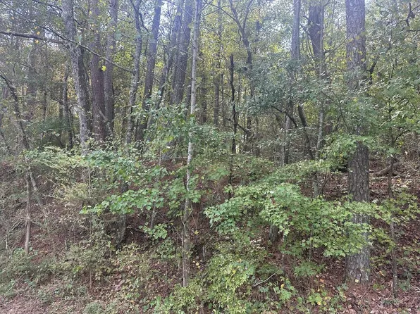 0 Carver Mill Rd, Talking Rock, GA 30175