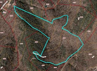 14 Tom Worley Dr, Leicester, NC 28748