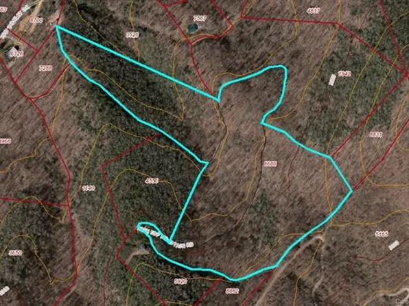 14 Tom Worley Dr, Leicester, NC 28748