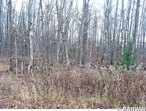 3rd image of 0 Forest Edge Road