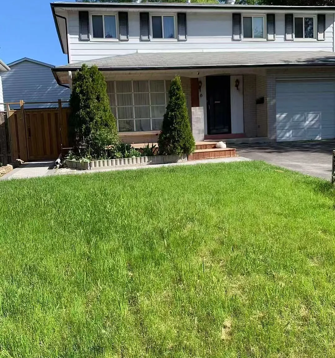 1 bed, $1,500 — Photo 3