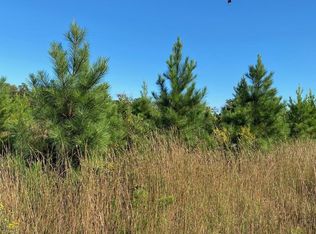 Mount Olive Rd, Beaverdam, VA 23015