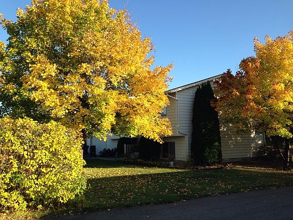 2nd image of 8915 Paintbrush Ln
