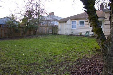Back yard