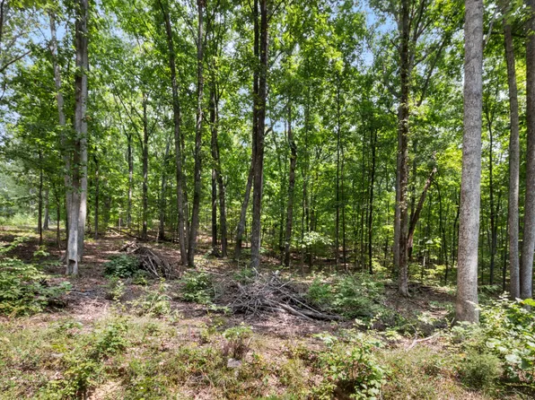 0 Eagle Shore Dr Lot 137/38, Dover, TN 37058