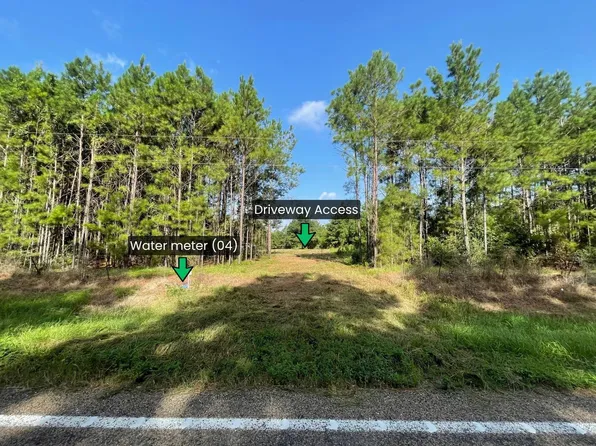 LOT 4 E Fm 942, Livingston, TX 77351