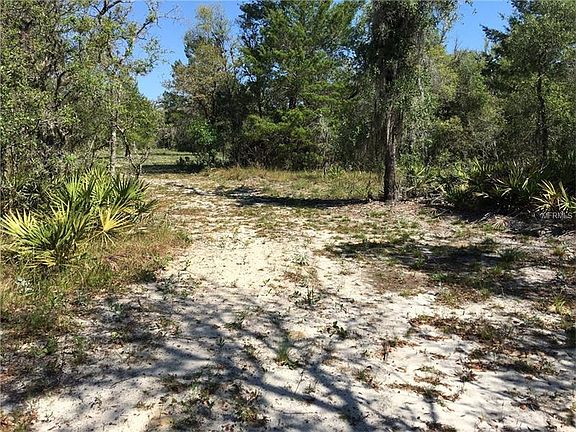 3rd image of 2230 Tiger Creek Trl