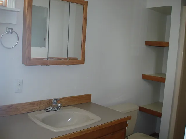 Vanity Sink and Medicine Cabinet. Storage Shelving on the right.