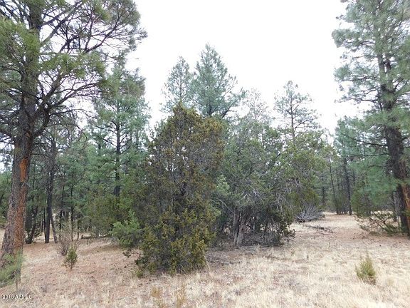 2nd image of 012-B HOMESTEAD -- #-