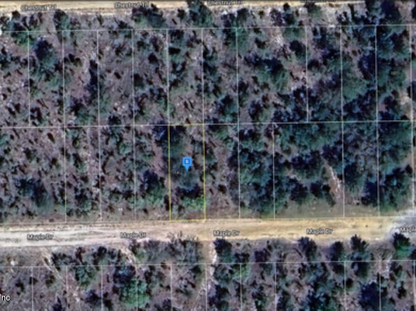0 MAPLE Drive, Interlachen, FL 32148