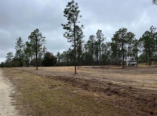 131 SE Lot #1, Morriston, FL 32668