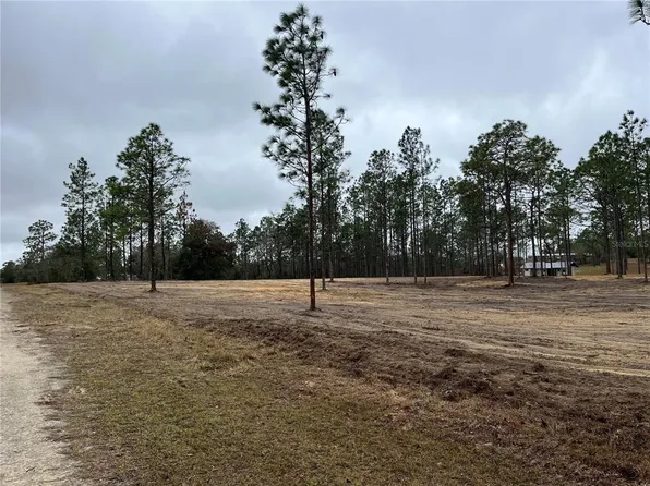131 SE Lot #1, Morriston, FL 32668