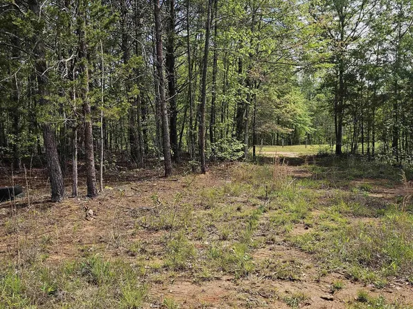 200 Tommys Trl, Pickens, SC 29671
