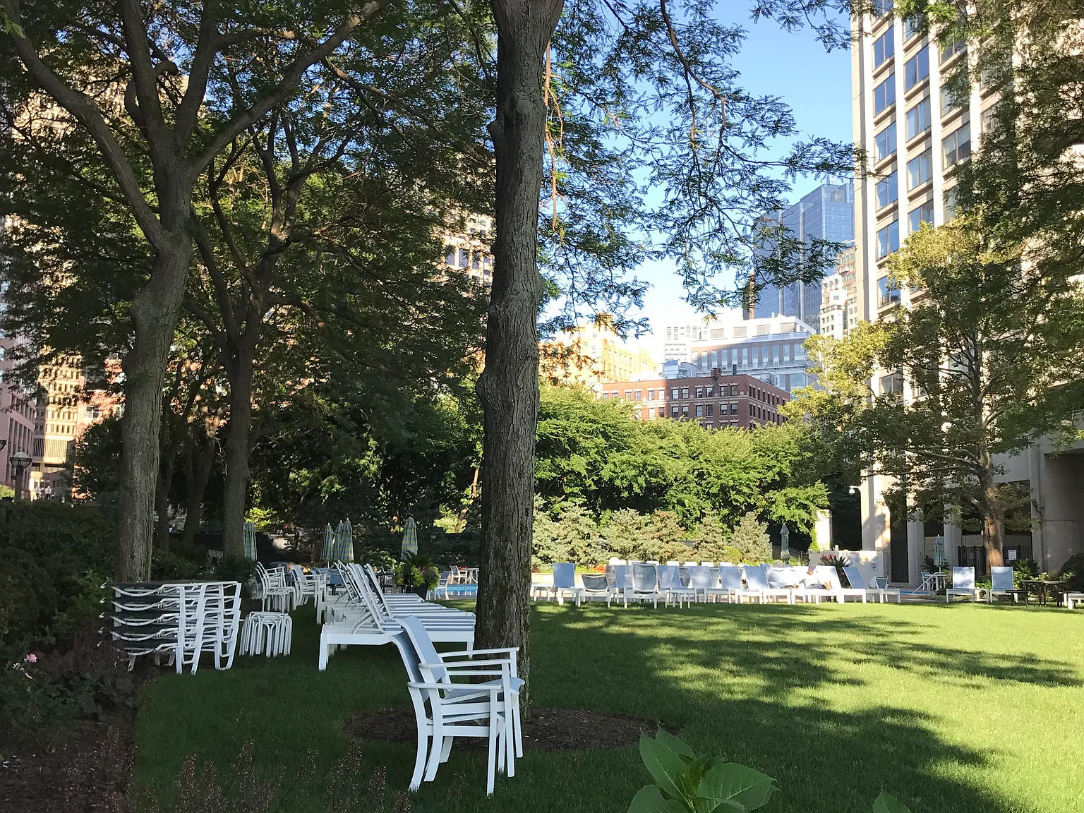 2 bed, 890 sqft, $3,800 — Photo 2