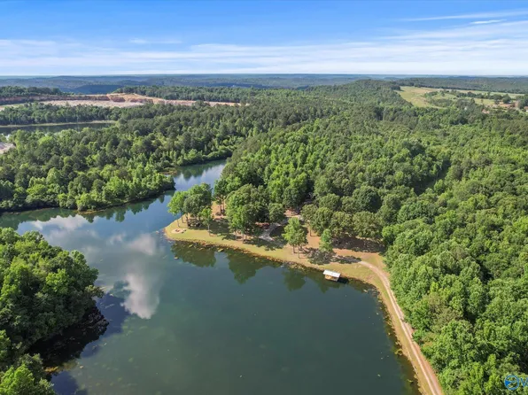 883 Cherokee Dr, Horton, AL 35980