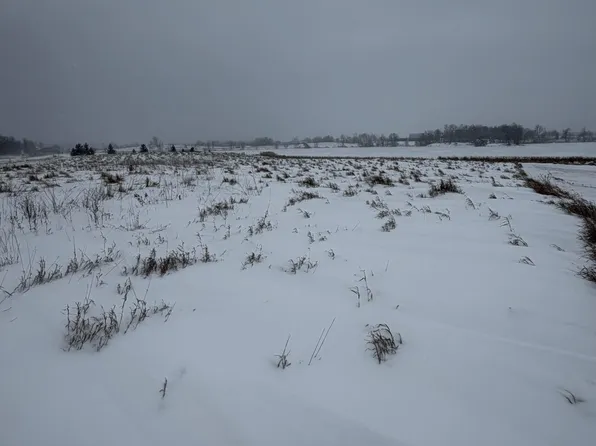 395th St, Dent, MN 56528