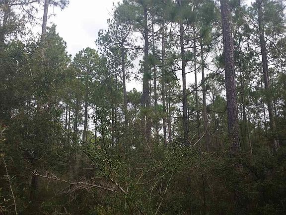 4th image of 0 Mare Creek Dr