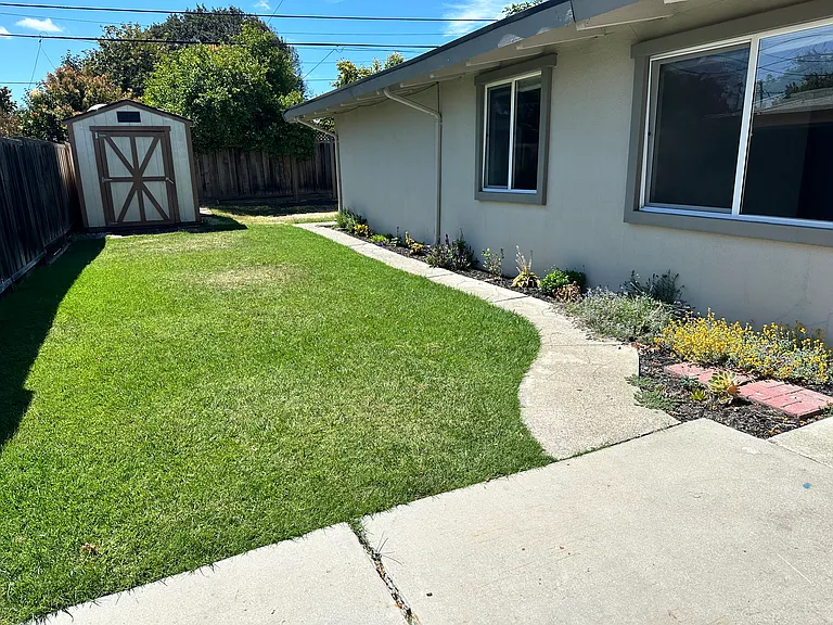 backyard with toolshed