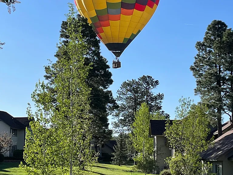 Back view from patio
