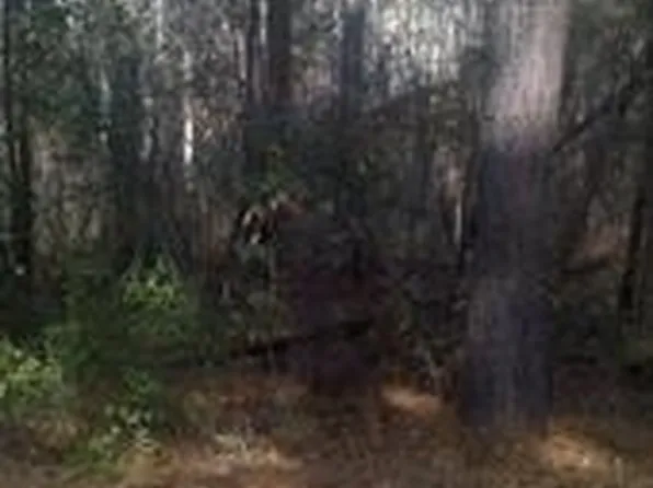 145 Brooks Lane, Southern Pines, NC 28387