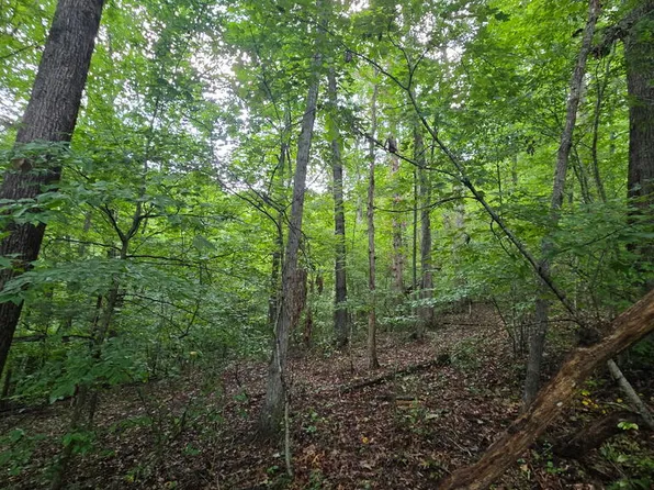 0 Route 3 Rock, Creek Arnett, WV 25007