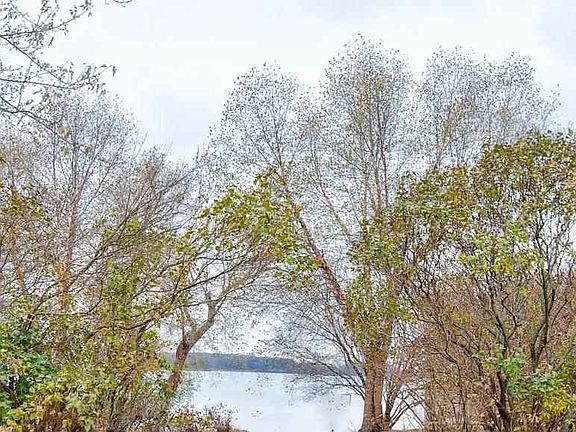 2nd image of 2721 Center Lake Dr