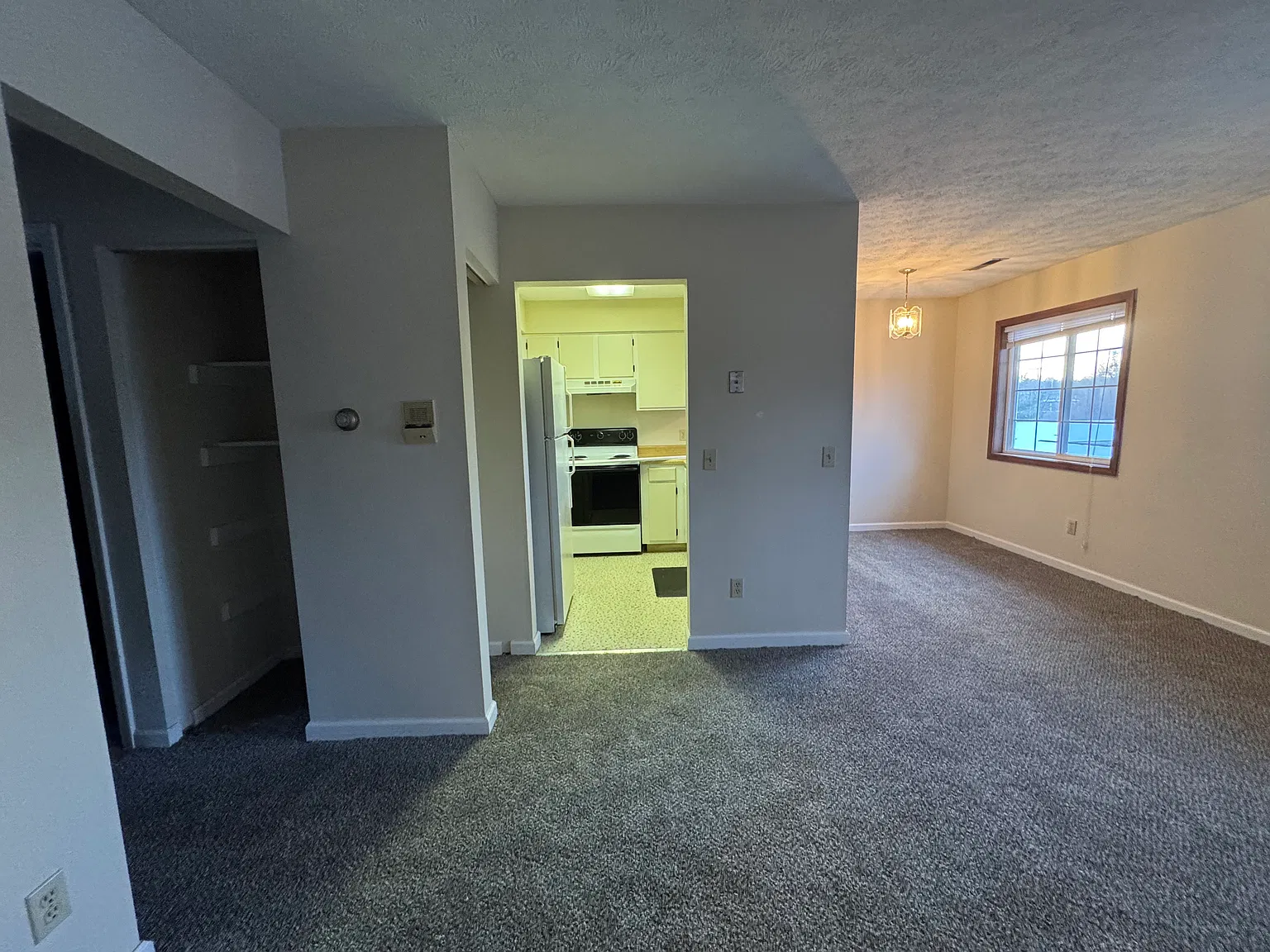 2 bed, 800 sqft, $1,000 — Photo 2
