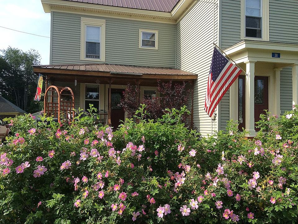 Front/wild rose hedge