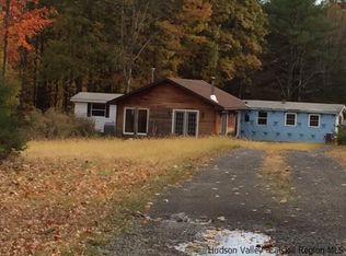 63 Brodhead Rd, Olive, NY 12494