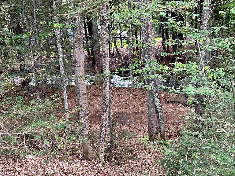 314 Old Bartlett Rd — Photo 33