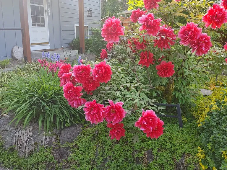 NE 124th Pl — Photo 11