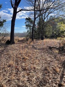 3765 Booster Rd, Detroit, AL, 35552