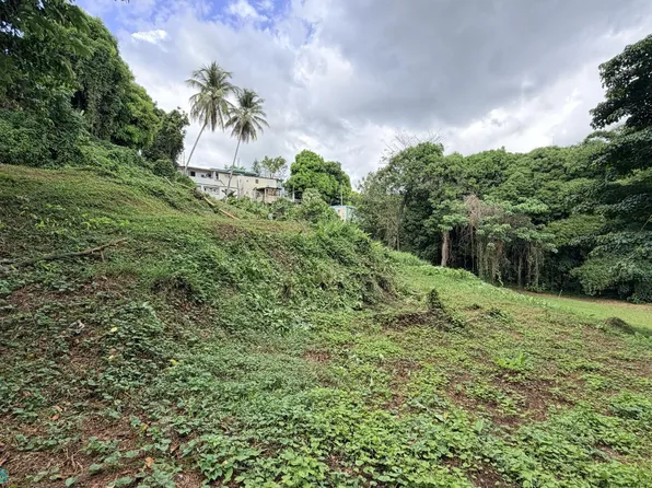 0 Mayaguez Bo Quebrada Grande, Arecibo, PR 00612