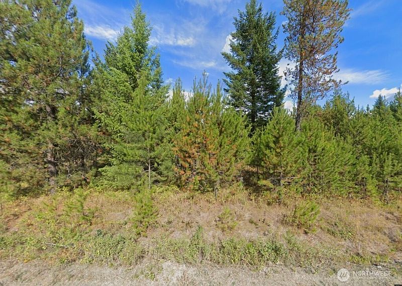 4th image of 2071 Driskill Road