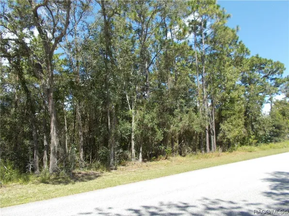 1833 W Pearson St, Hernando, FL 34442