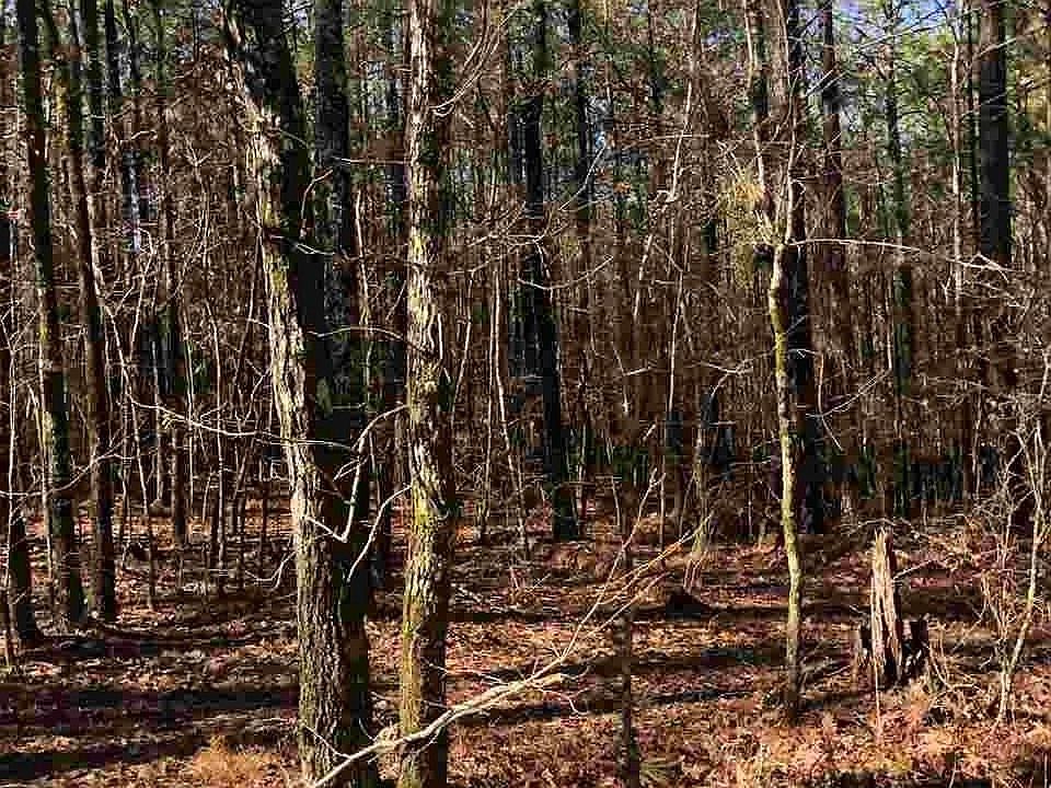 1030 Highway 301 Calera, AL, 35040 Apartments for Rent Zillow