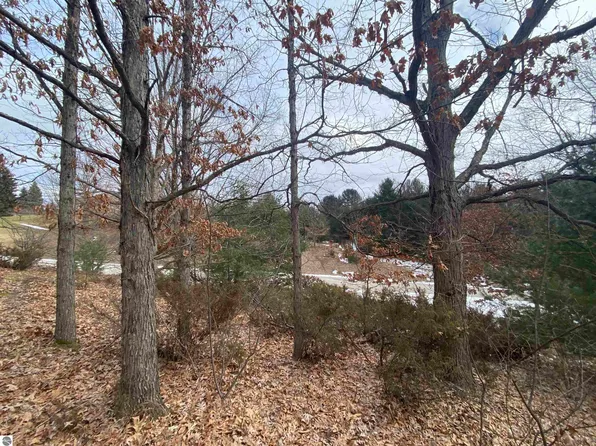 LOT 38 Kirkridge Dr, Williamsburg, MI 49690