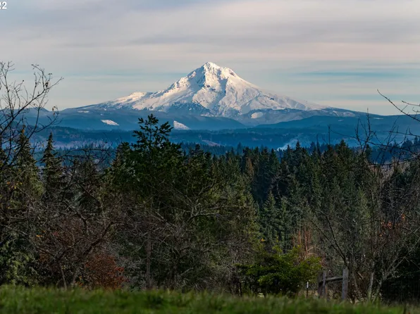 17929 S Dick Dr, Oregon City, OR 97045