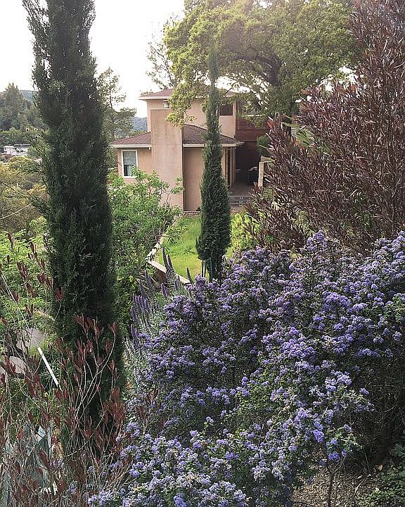 1st image of 405 Sequoia Dr