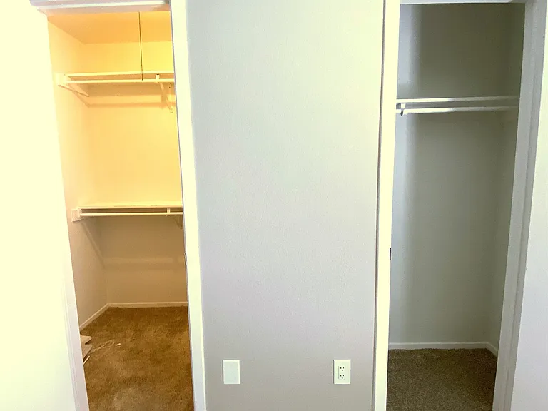 2704 Winding Creek Dr — Photo 6