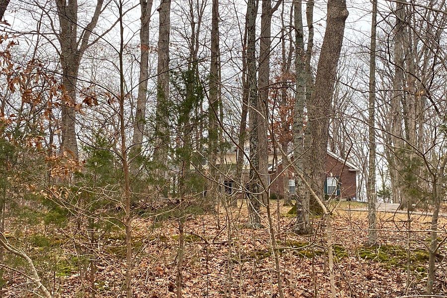 1007 Chesterfield Forest Dr, Chesterfield, MO 63005 Zillow