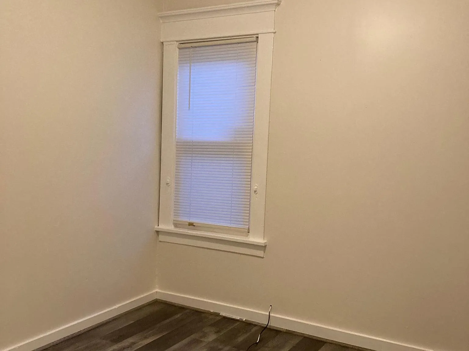 178 Goulding Ave — Photo 2