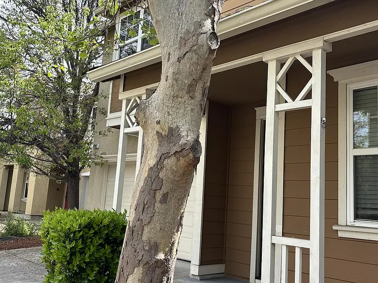 3902 Hidden Grove Ln — Photo 3