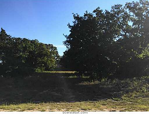 3rd image of Brookwood Ln