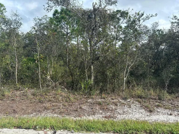 3035 Dixon Road, Avon Park, FL 33825