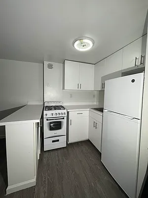 Rented by Voro NYC | media 19