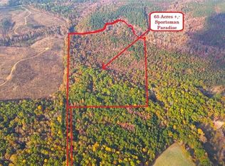 1 Poplar Springs Rd, Buchanan, GA 30113