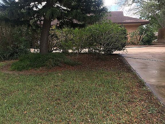 3rd image of 135 Palo Alto Dr